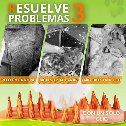 ¡Vapor y Cuidado 3 en 1! La Solución definitiva para el Pelaje de tu Mascota. 🐾